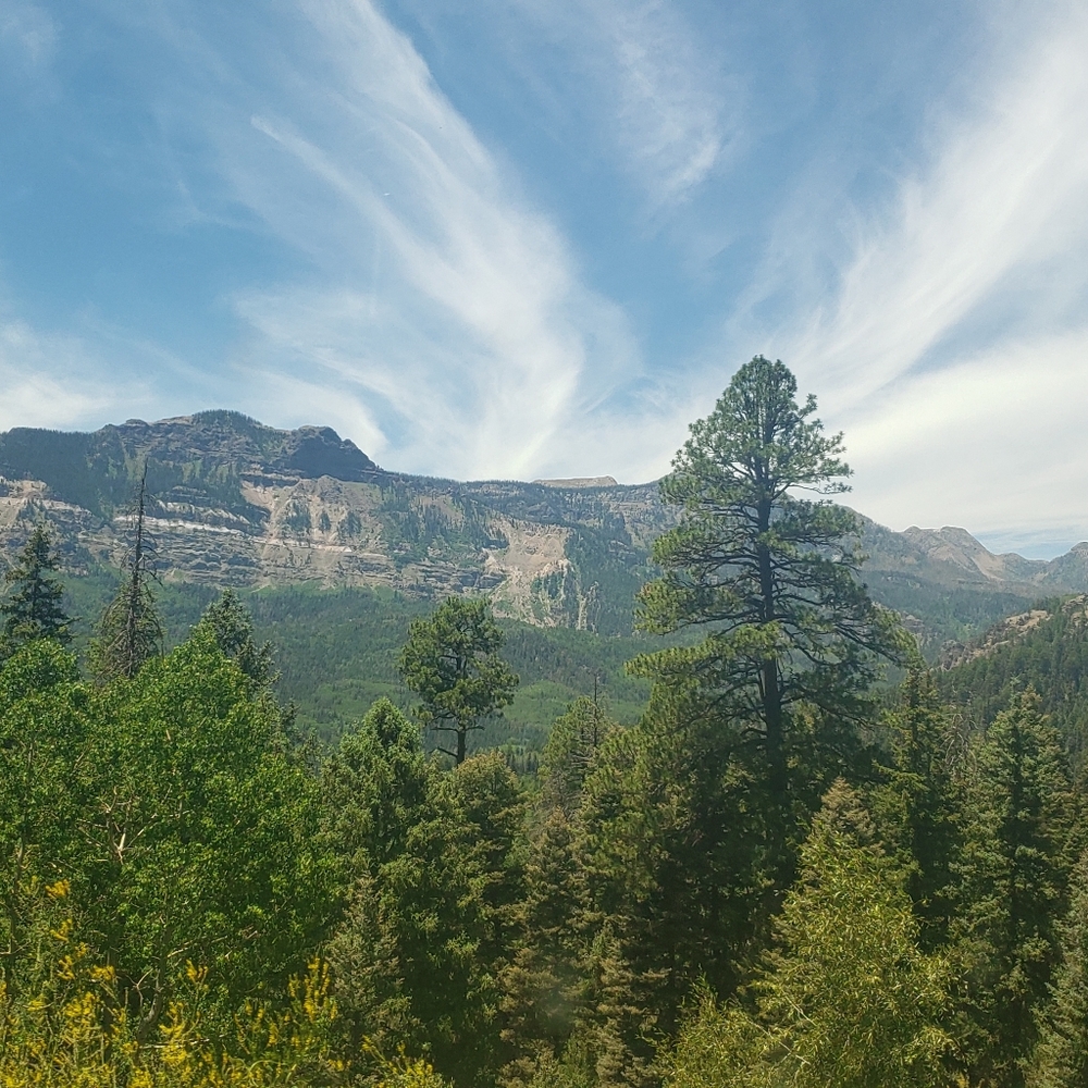 Meet your Posher, Crystal - Picture 13 of 16